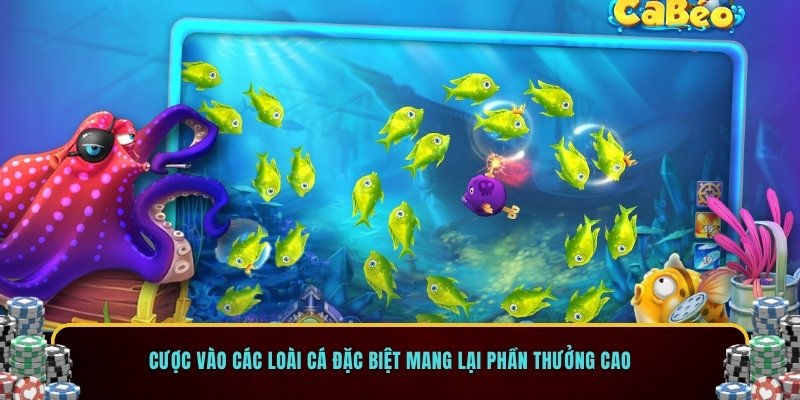 Cược vào các loài cá đặc biệt mang lại phần thưởng cao 