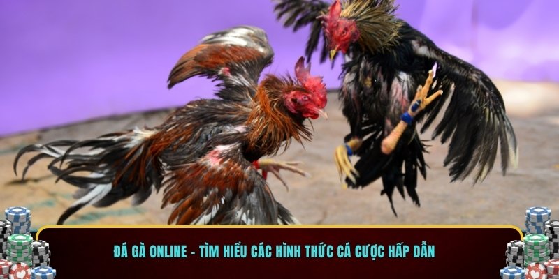 Đá gà online