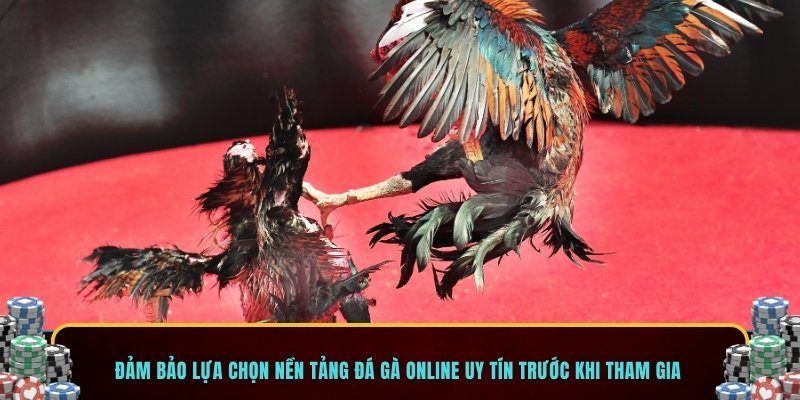 Đảm bảo lựa chọn nền tảng đá gà online uy tín trước khi tham gia