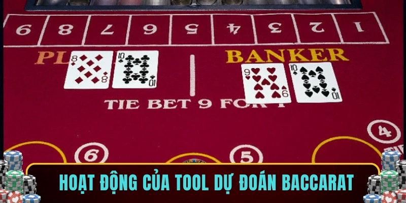 Hoạt động của tool dự đoán baccarat