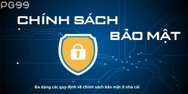 Đa Dạng Nguyên Tắc Trong Chính Sách Bảo Mật PG99
